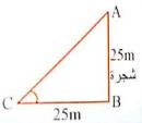 إجابة السؤال 10